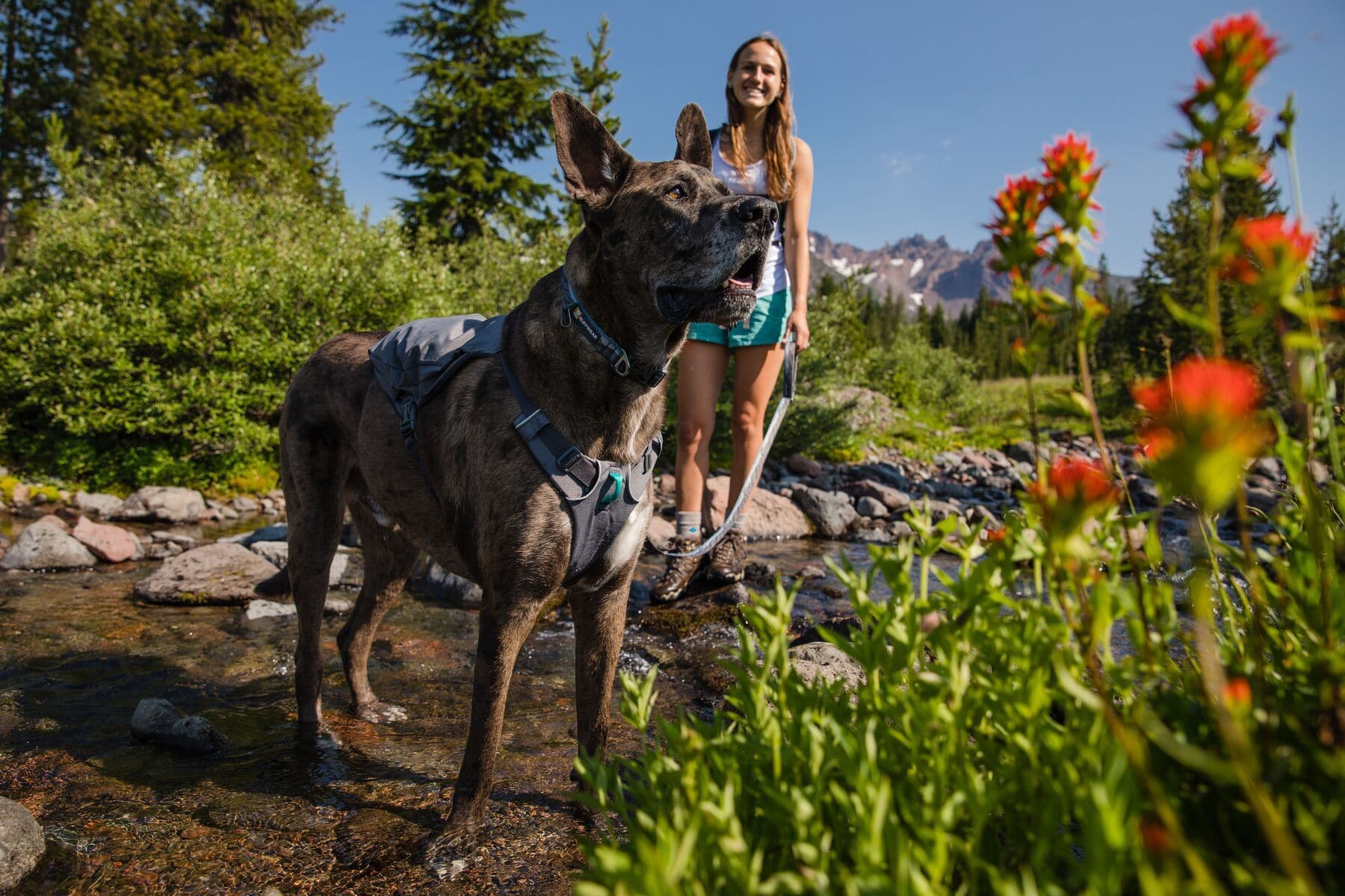 Imagen del producto 62