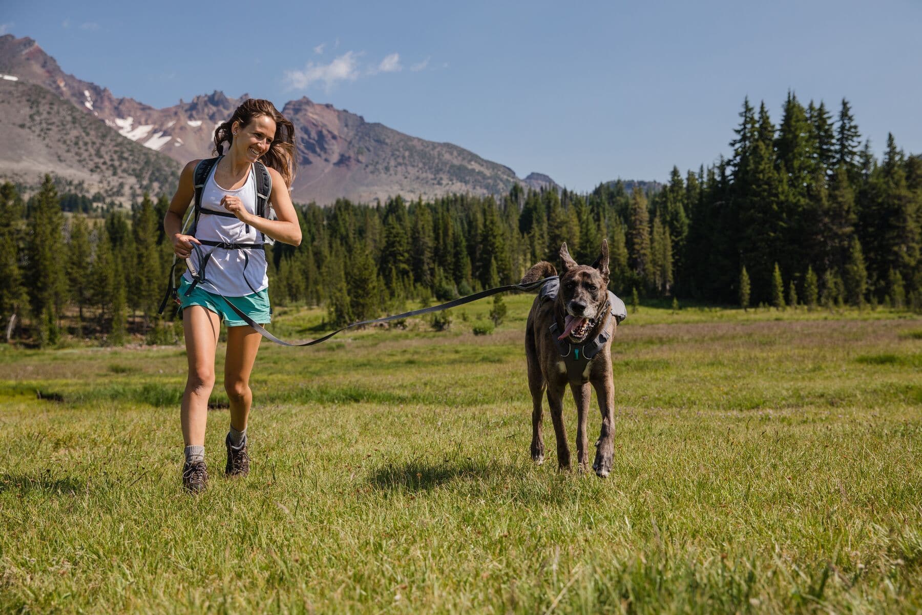 Imagen del producto 65