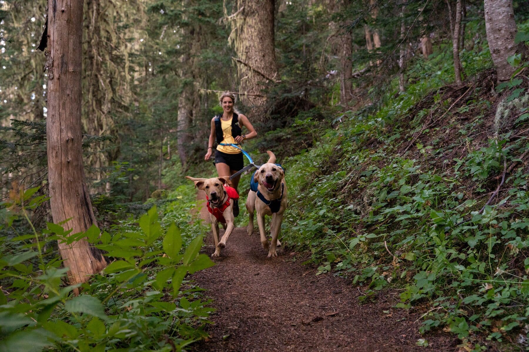 Imagen del producto 72