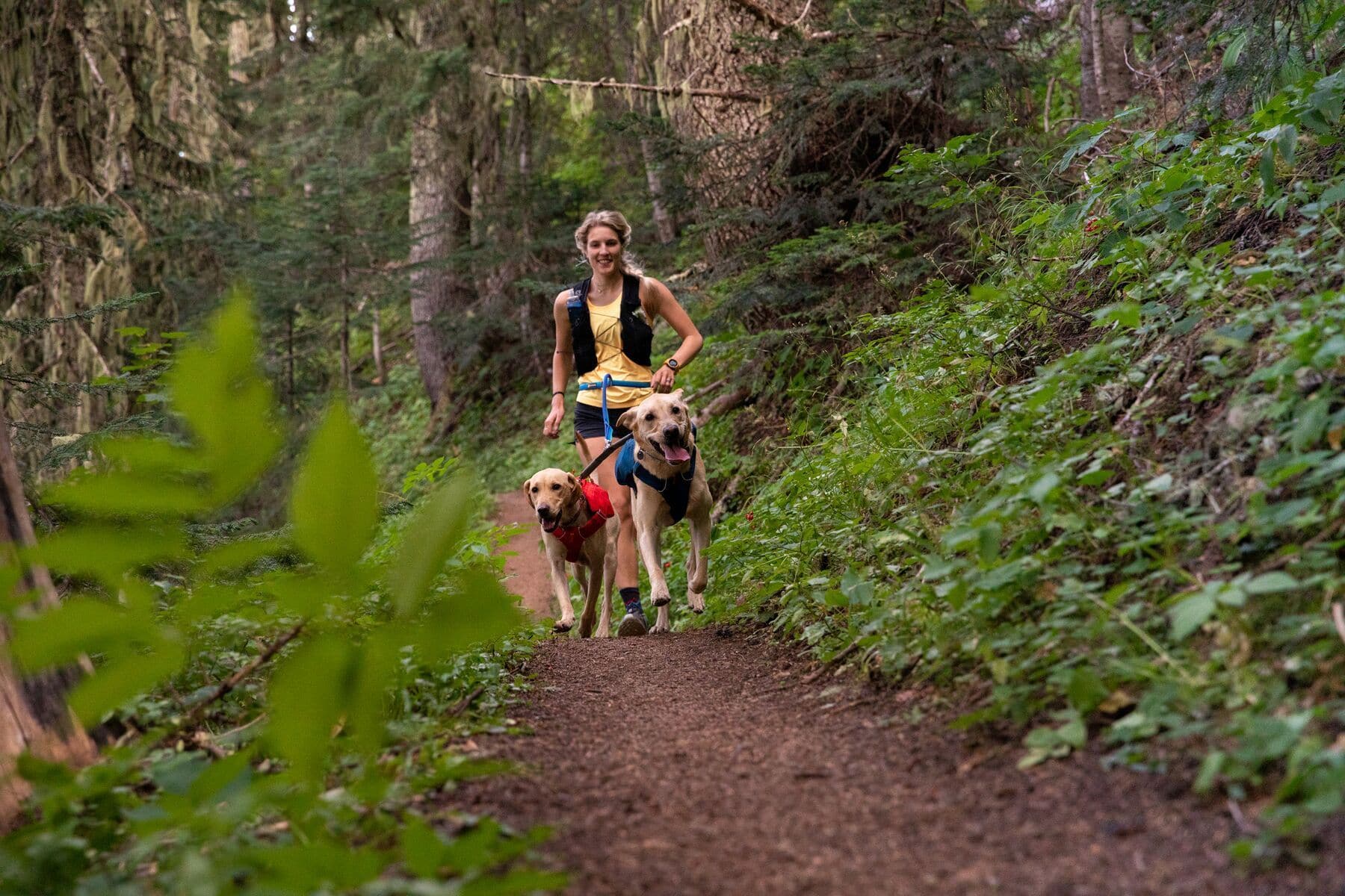 Imagen del producto 73