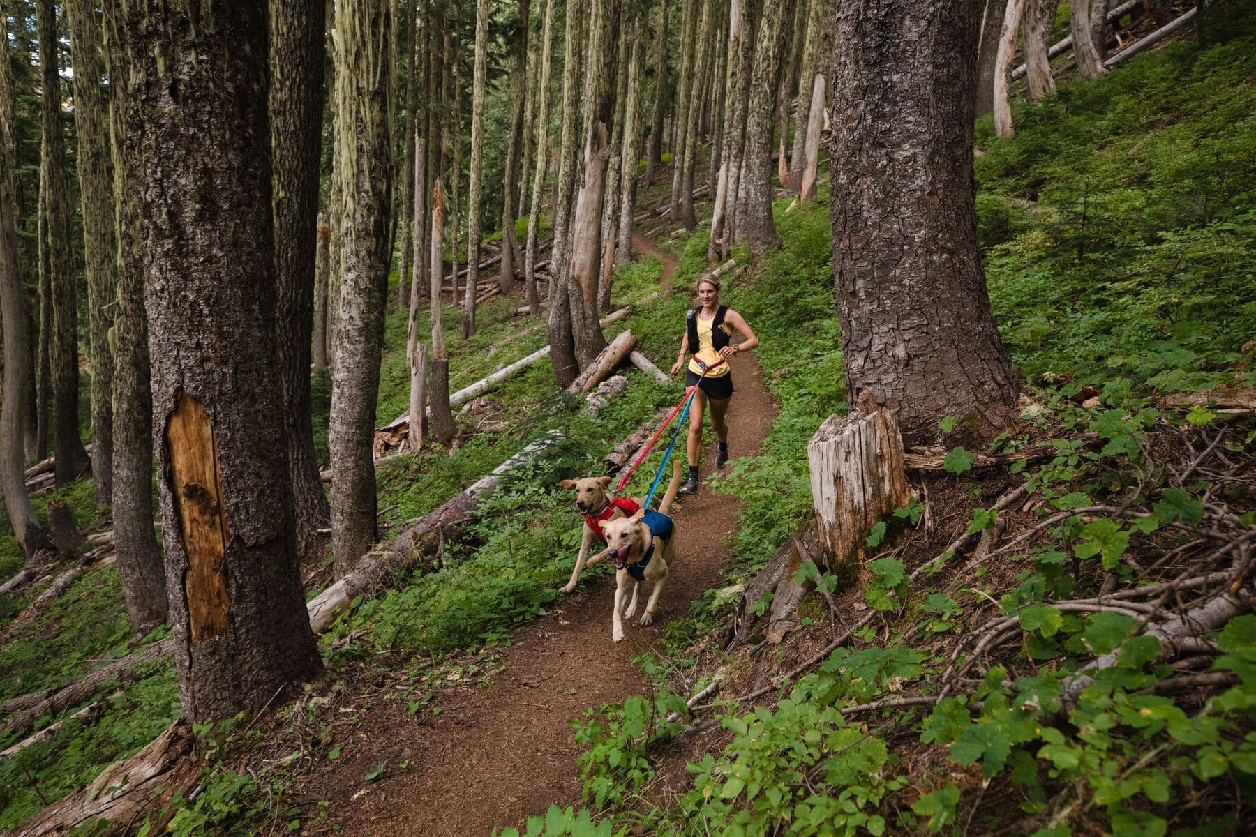 Imagen del producto 76