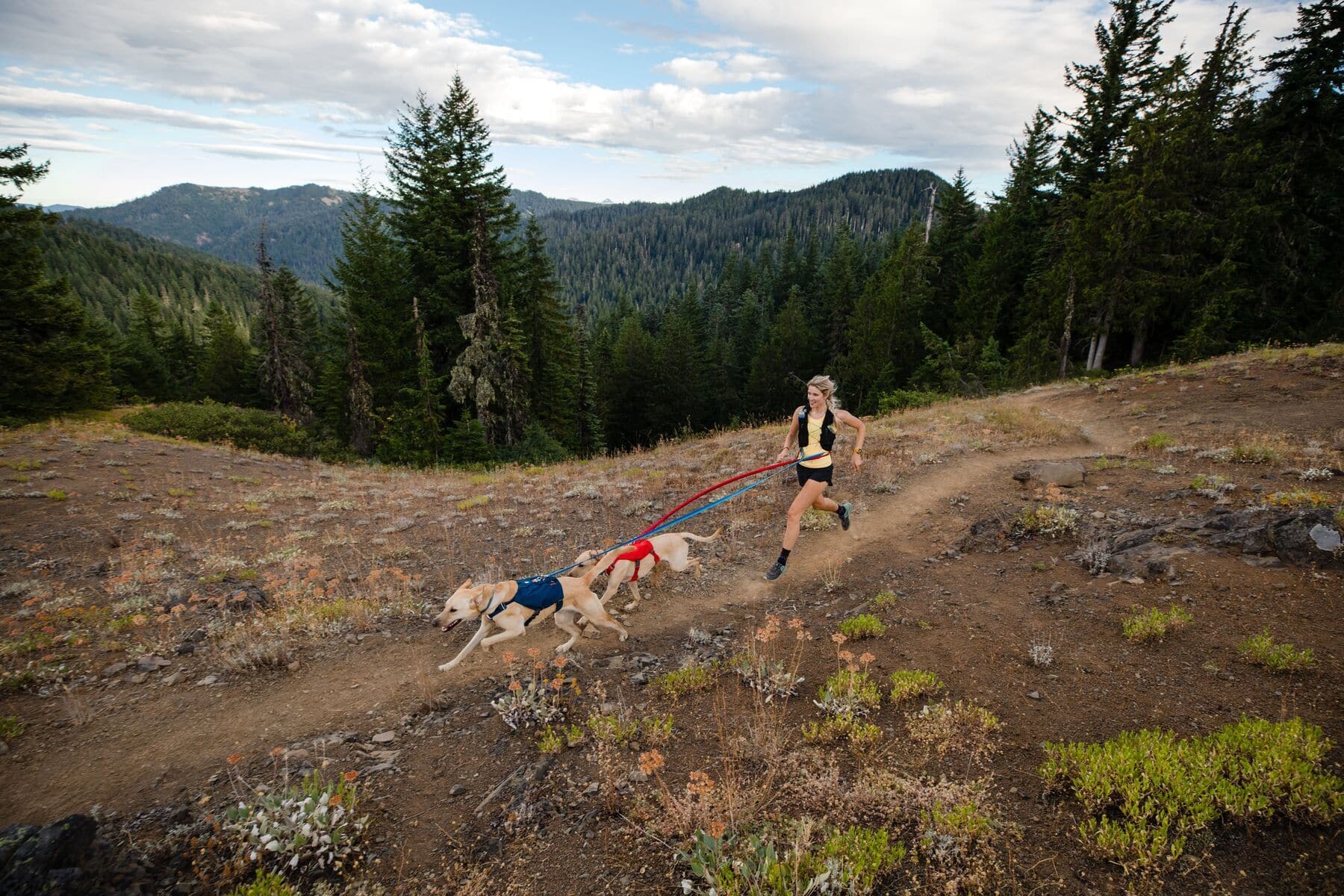 Imagen del producto 78