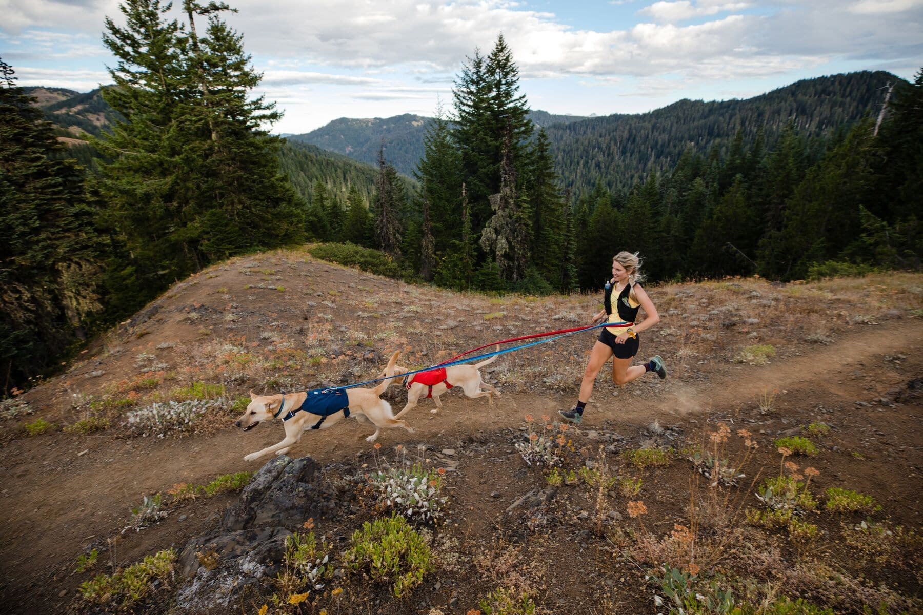 Imagen del producto 79