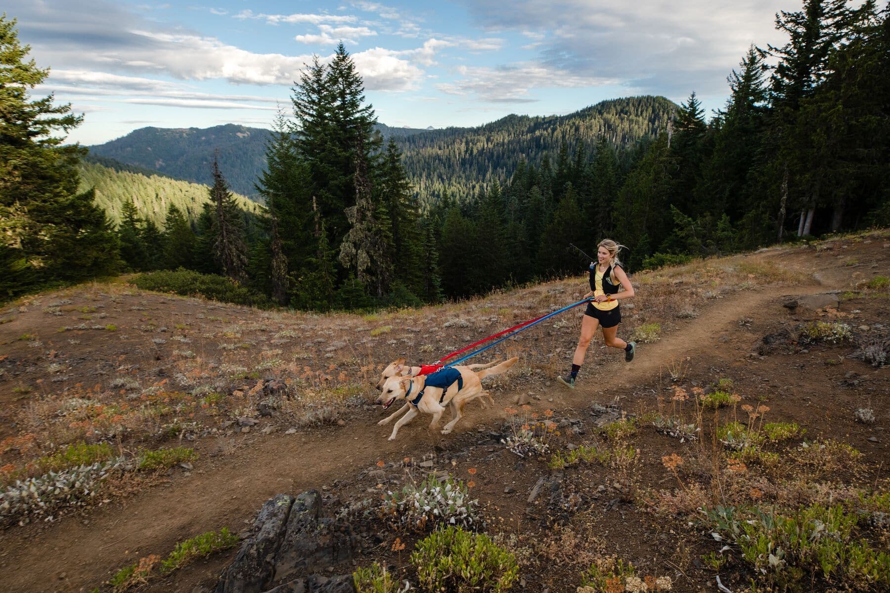 Imagen del producto 80