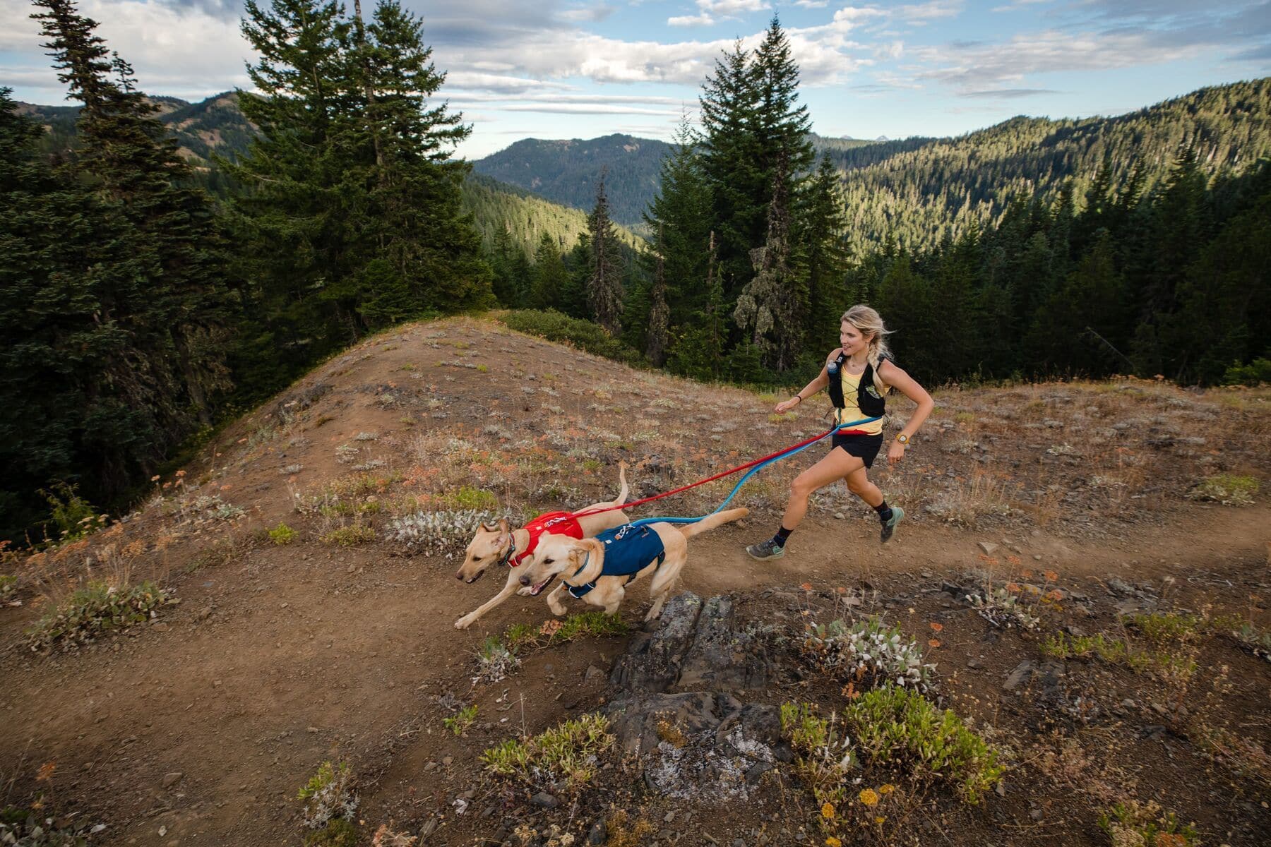 Imagen del producto 81