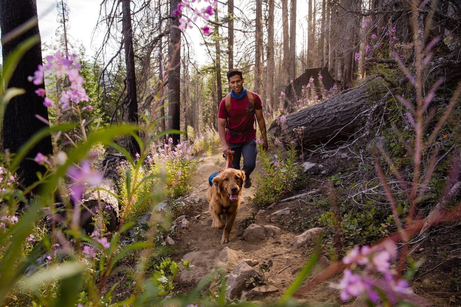 Imagen del producto 84