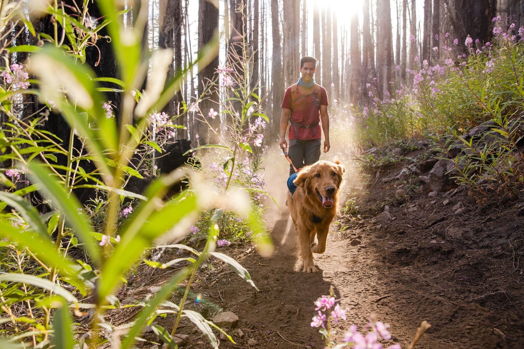 Imagen del producto 86