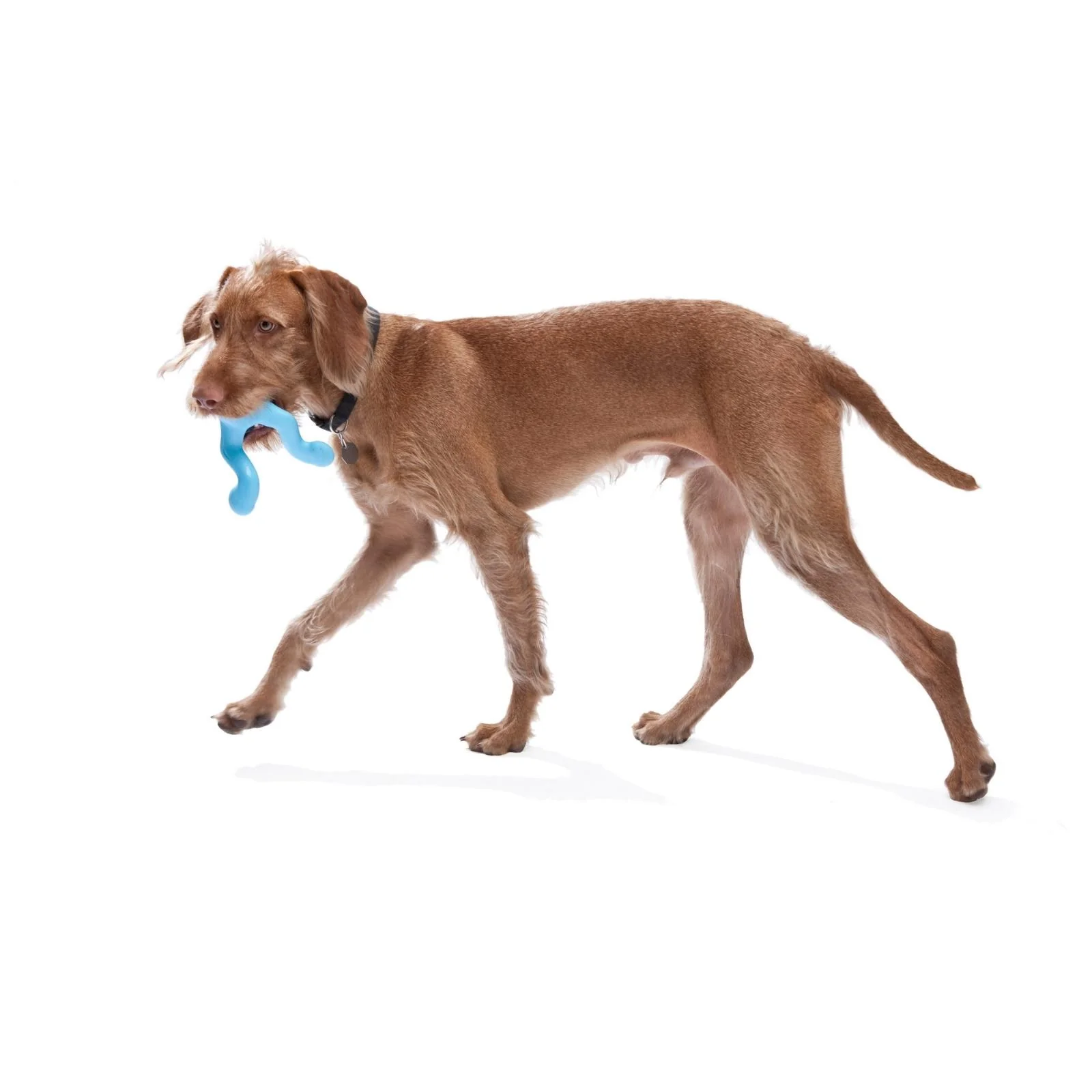 Imagen del producto 7